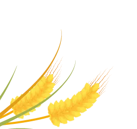 44.png 44.png