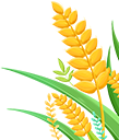 06.png 06.png